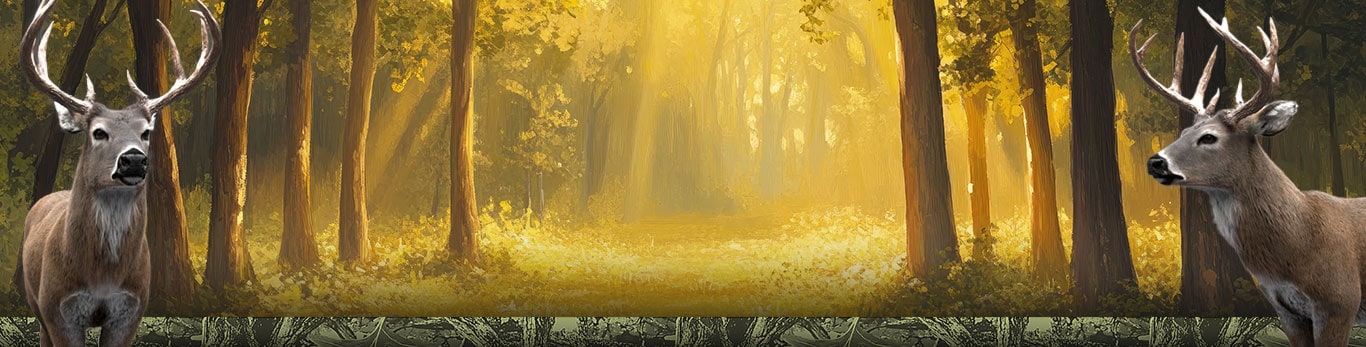 two deer in a forest with sunlight coming through trees