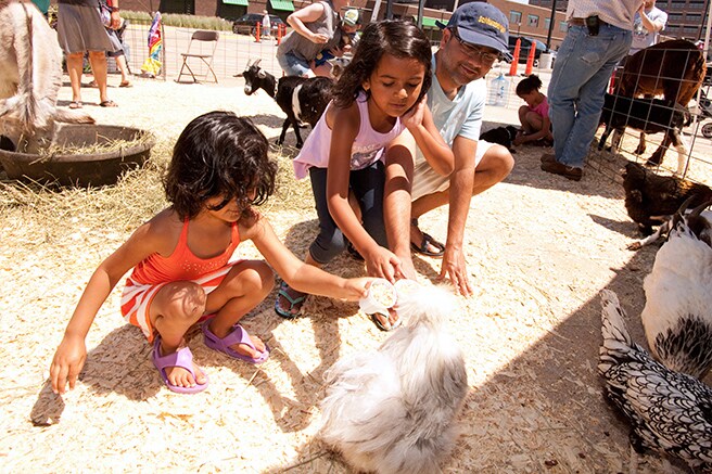Two young girls feeding chickens at the petting zoo
