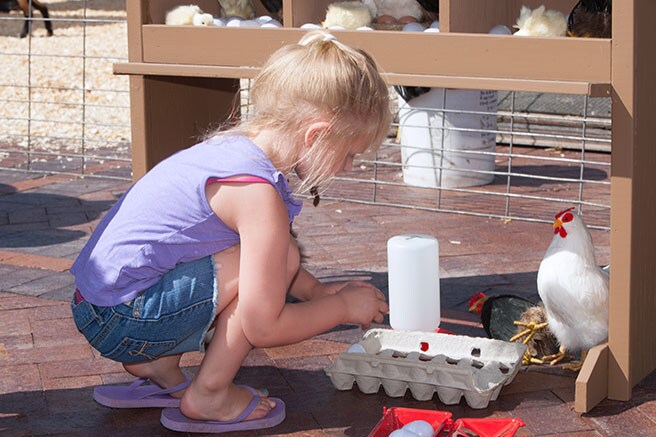 At Little Johnny’s Farm a girl is completing her "gathering eggs" chore