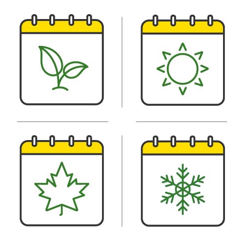 four calendar icons displaying a symbol for the four different seasons of the year