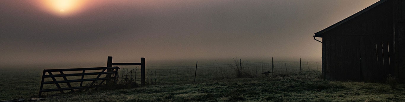 Sunlight barely burns through foggy farm scene of barn and fence line.