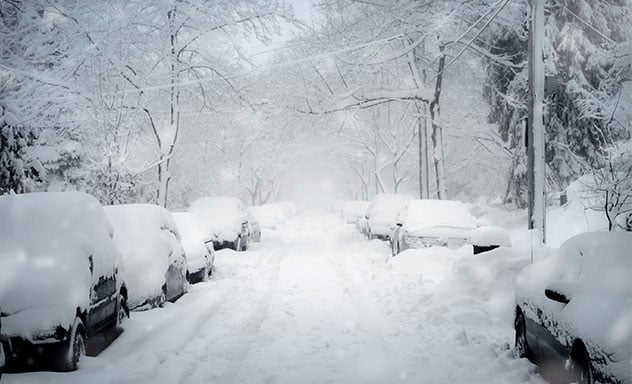 Street scene with all trees, power lines, and two rows of parked cars buried in several inches of snow.