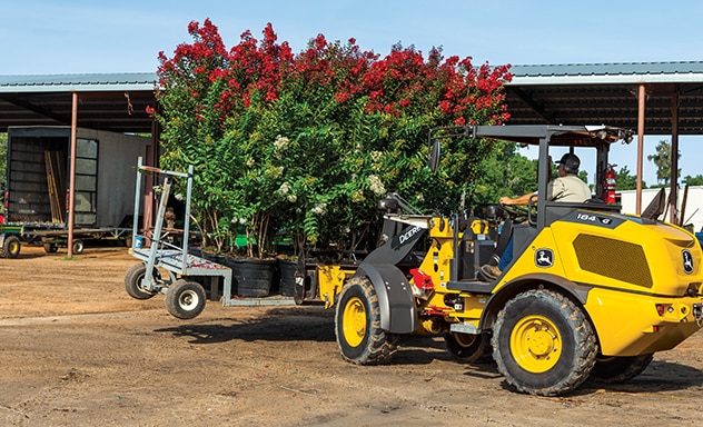 John Deere 184 G-Tier compact wheel loader lifting pallet of flowering trees for landscaping.