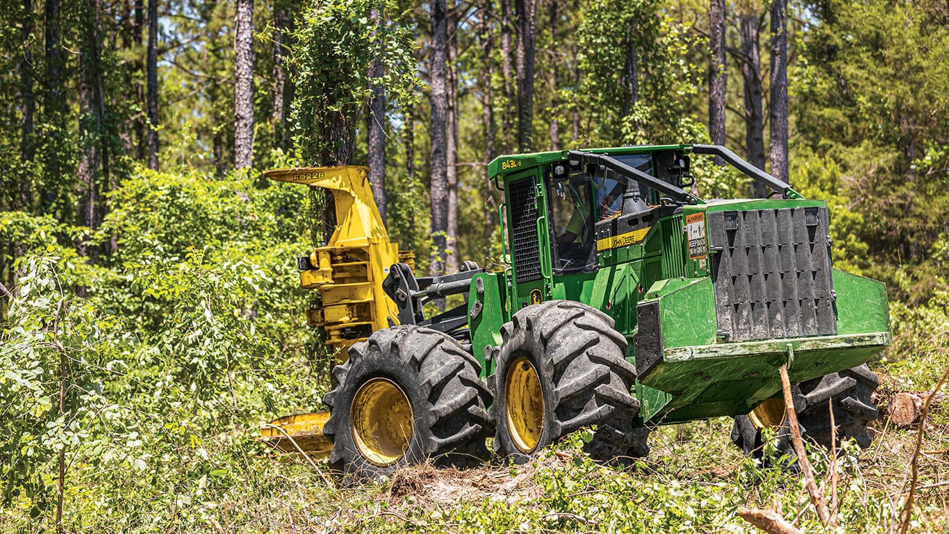 John&nbsp;Deere wheeled feller buncher removing trees in forest.