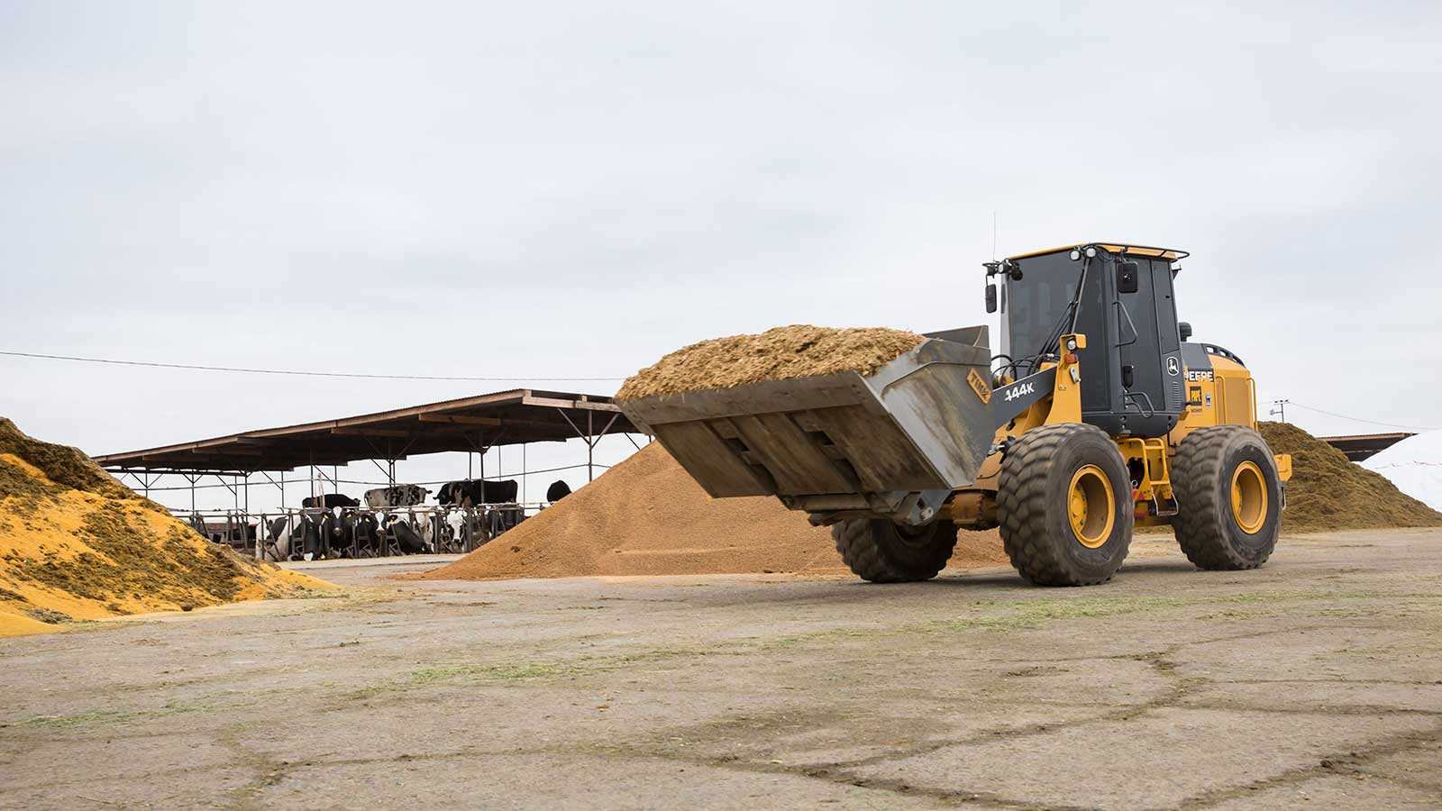 444k loader moving feed at the dairy