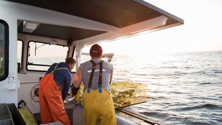 Thompson family out catching lobster