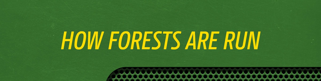 Green banner with yellow text reading 'How forests are run' above a black perforated design