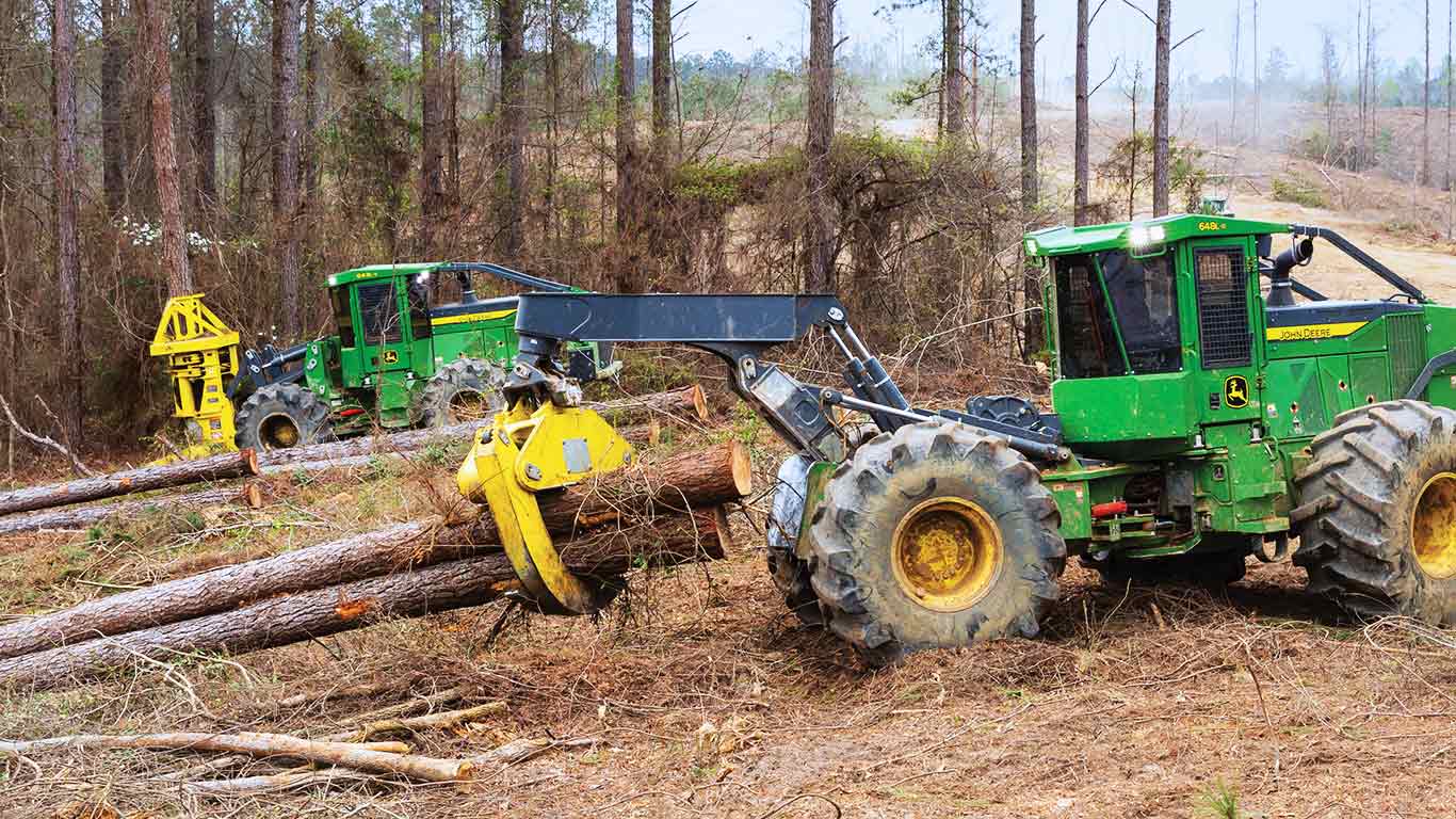 A skidder and feller buncher performing full-tree logging in a forest