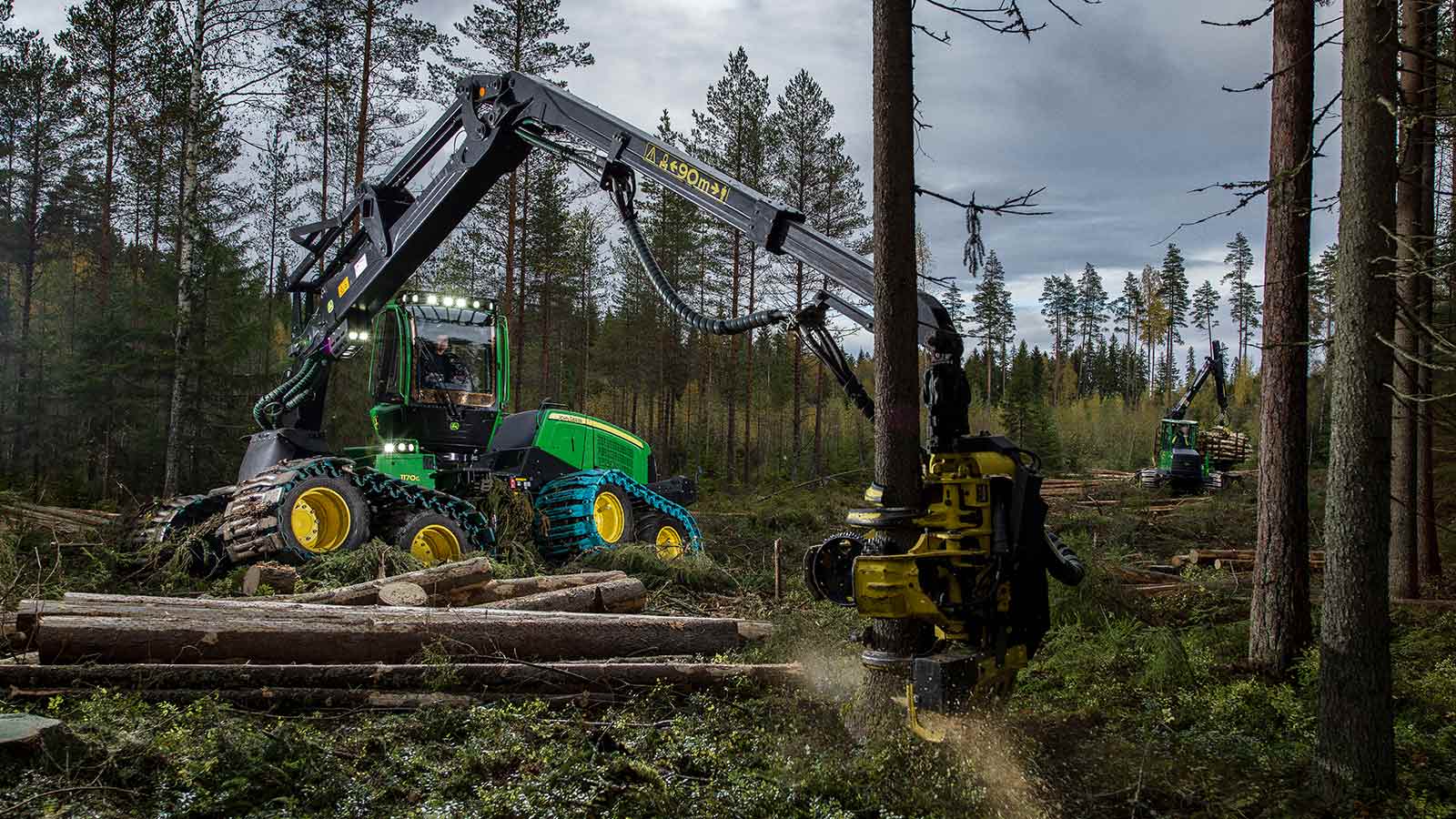 John Deere 1170G 8W Wheeled Harvester cutting down trees in the forest.