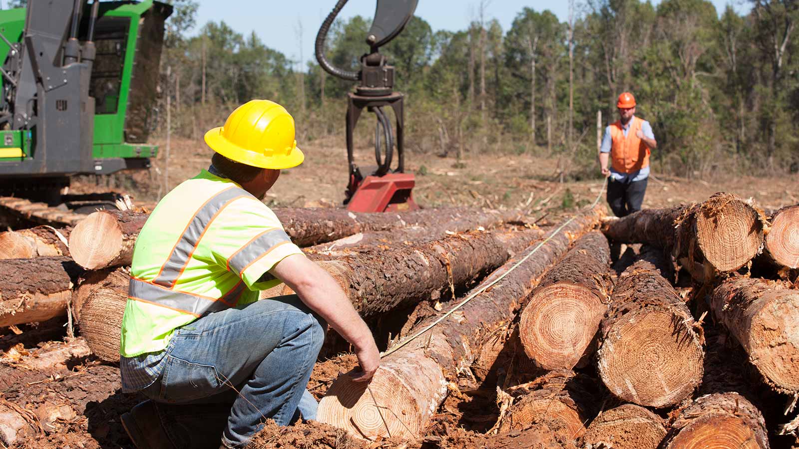 Logging warning. John Deere 2154g. Waratah 622b. Logging Companies предложения. Tree Logger.
