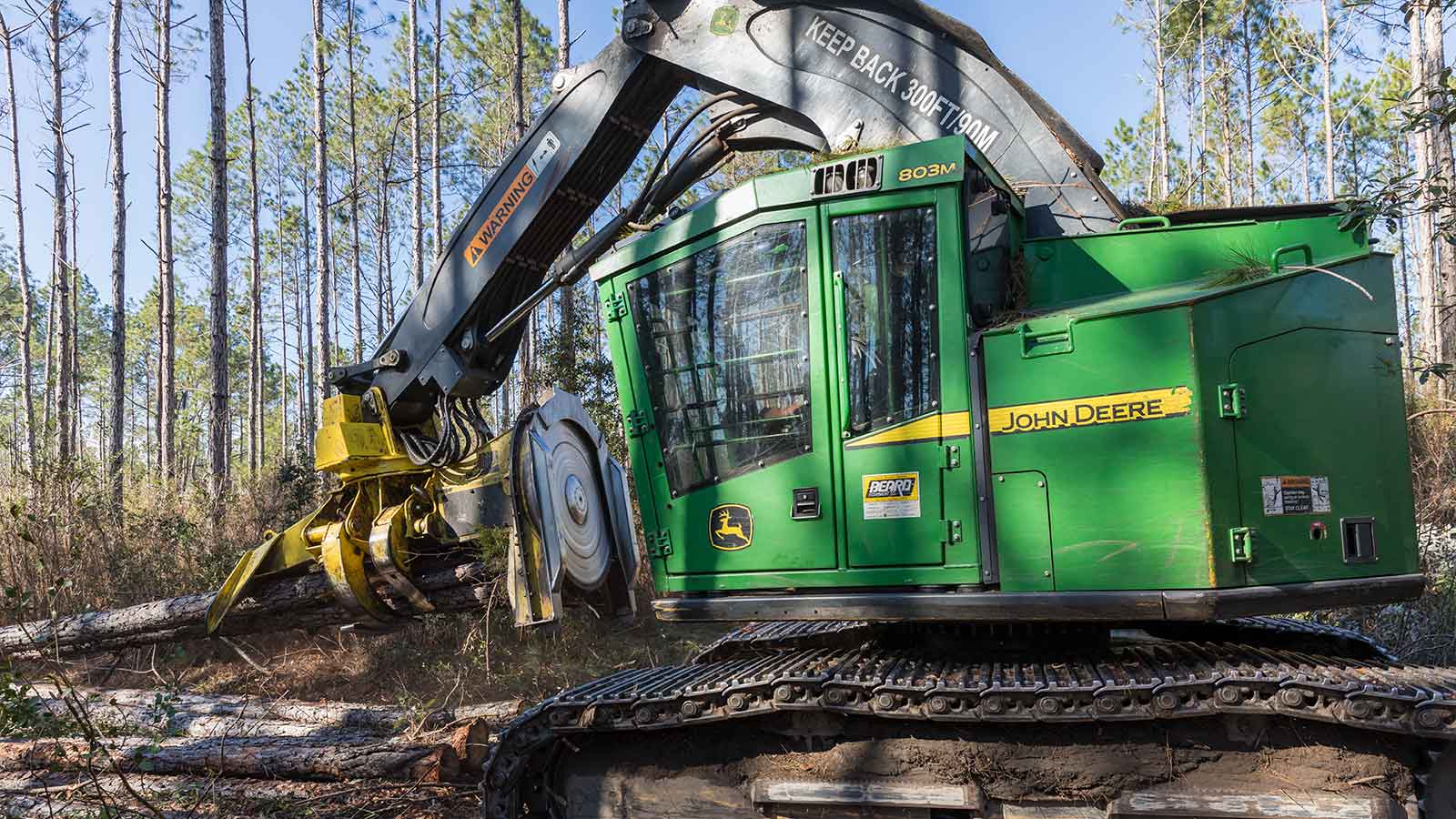 A John Deere 803M Tracked Feller Buncher cutting trees in a swampy forest.