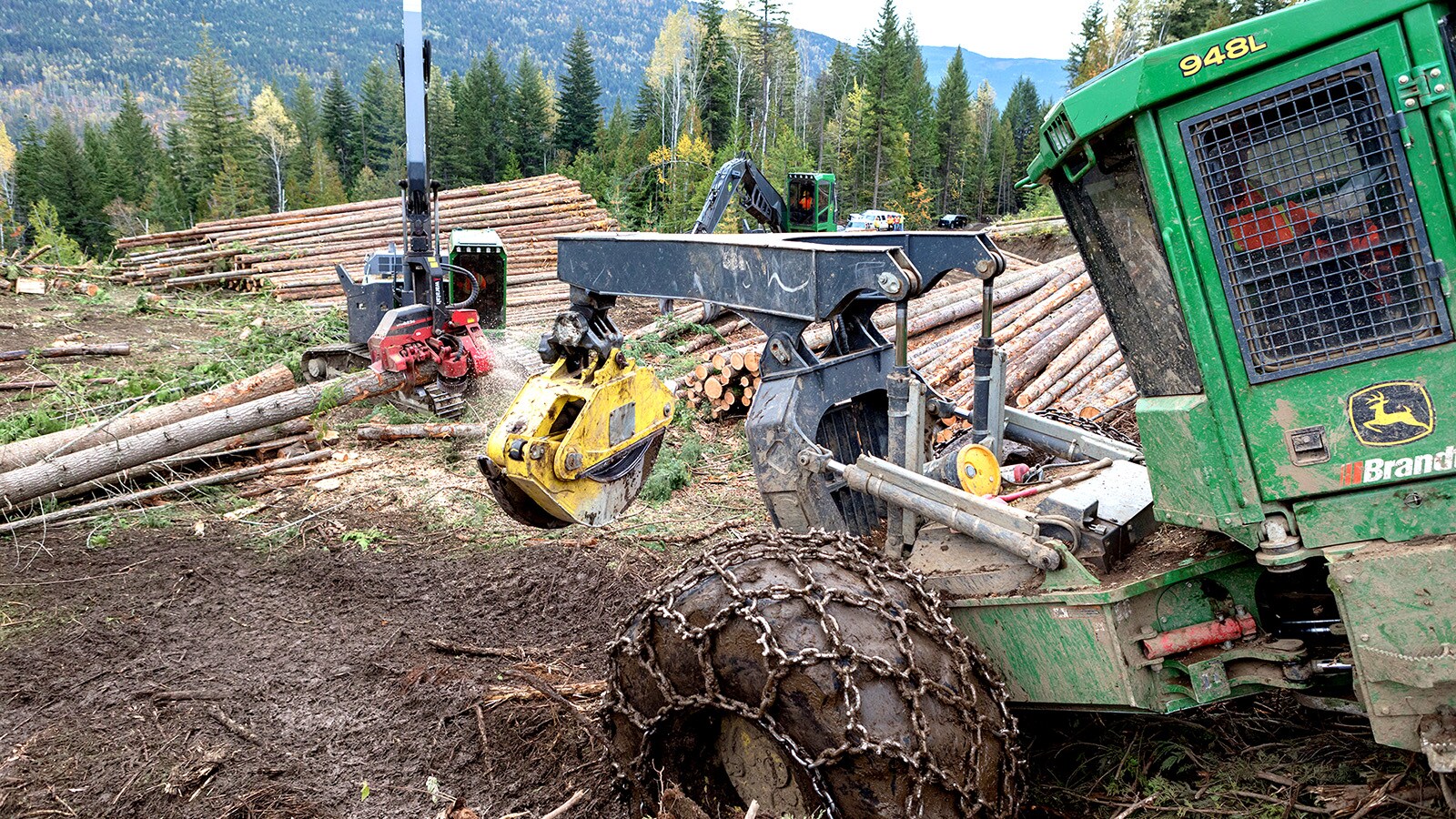 Legacy Skidder