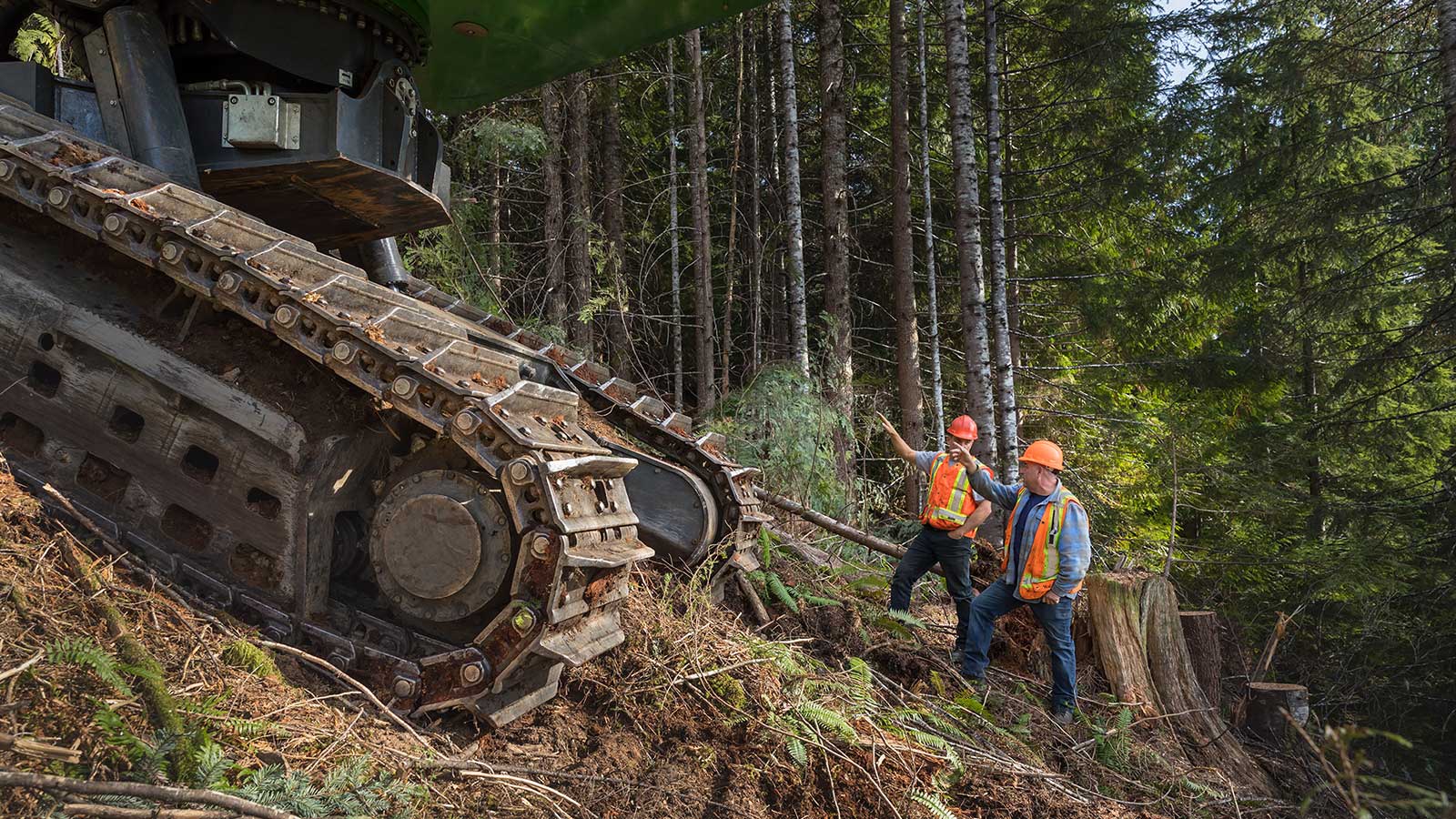 Steep-slope logging on Vancouver Island