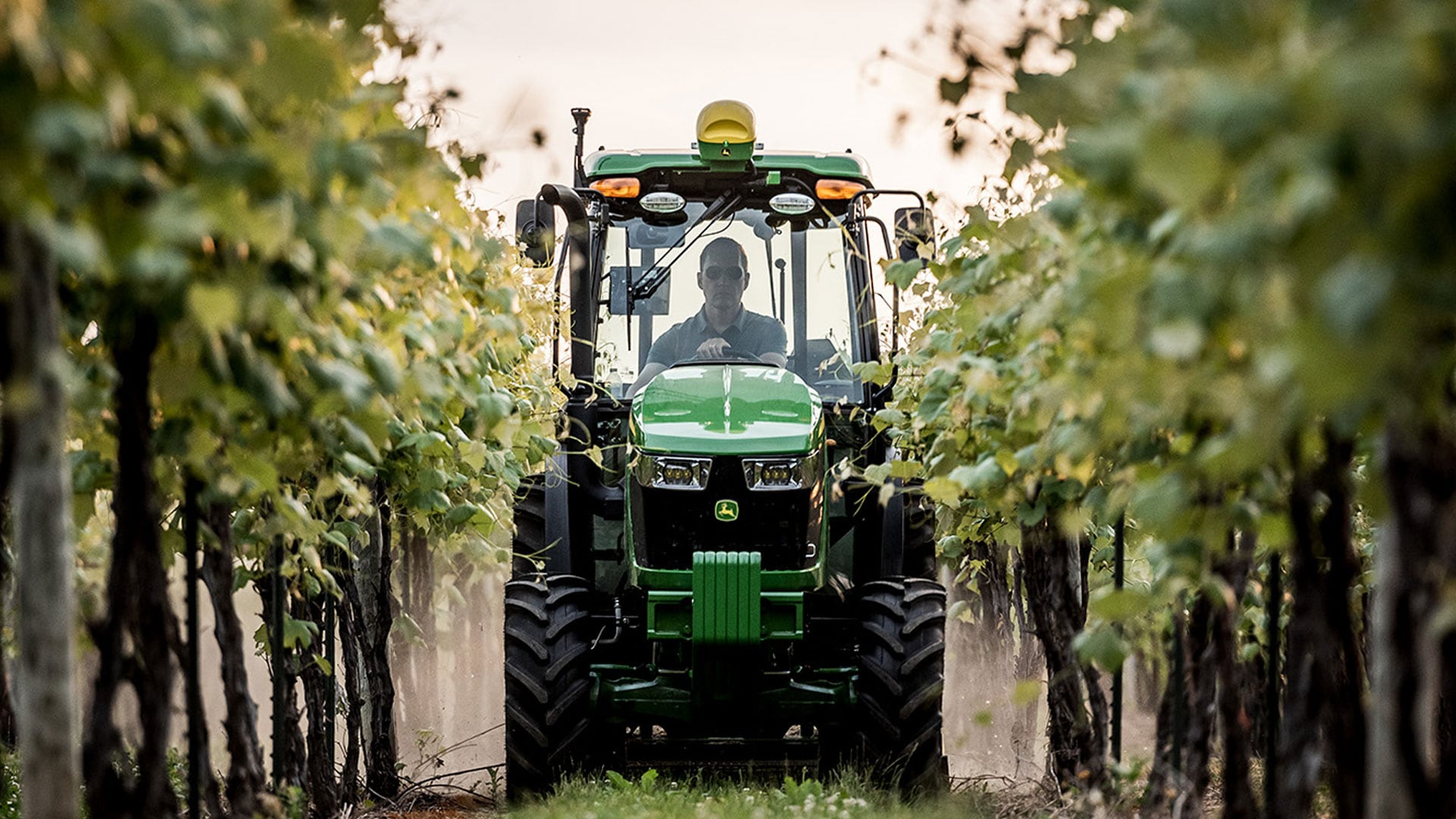 John Deere tractor working in vineyard.