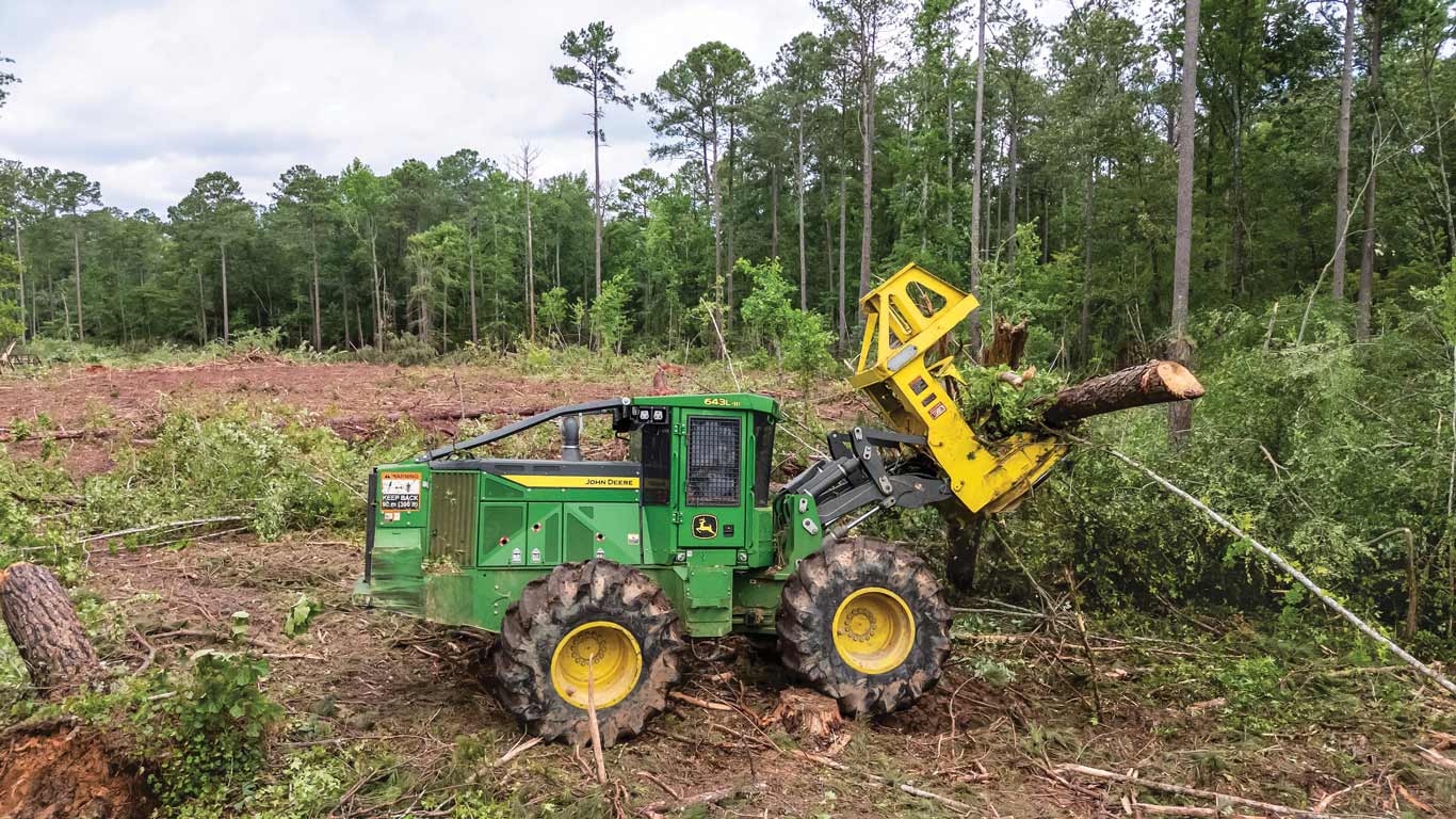 A green wheeled forestry machine fells a freshly cut log with its front grapple in a cleared area surrounded by tall trees.