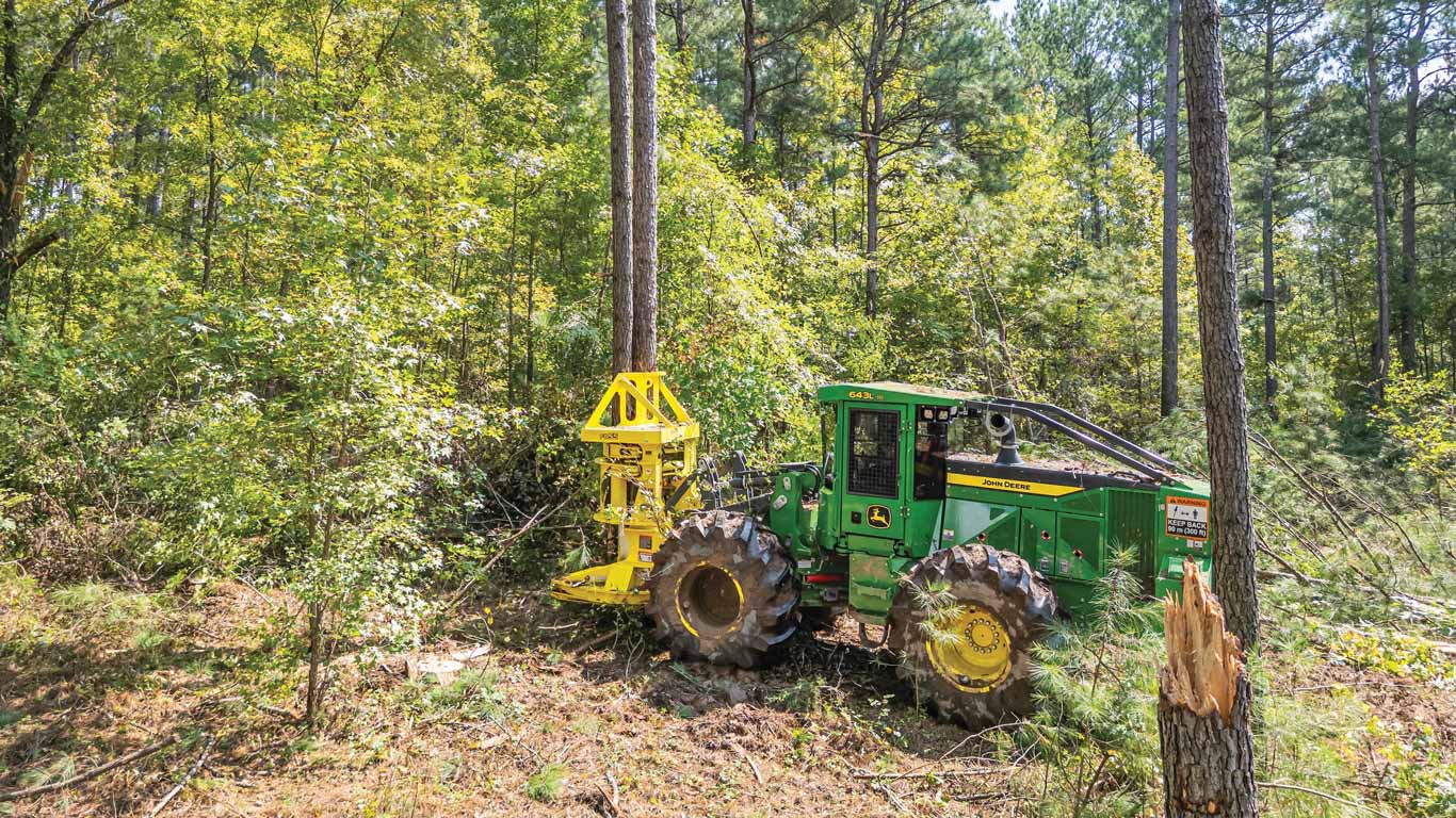A green wheeled forestry machine cutting down a tree in a dense, sunlit forest clearing.