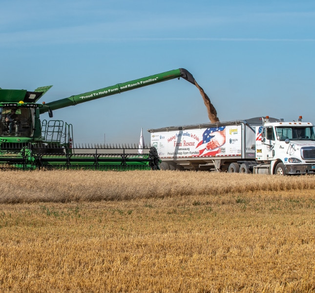 A combine filling a semi trailer with harvested crops