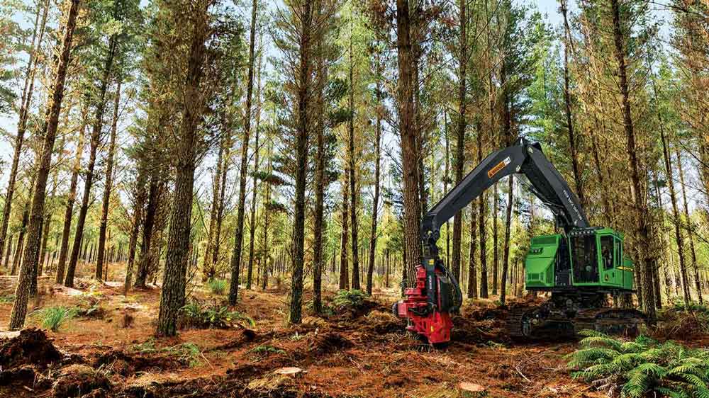 A tracked harvester cutting down a tree