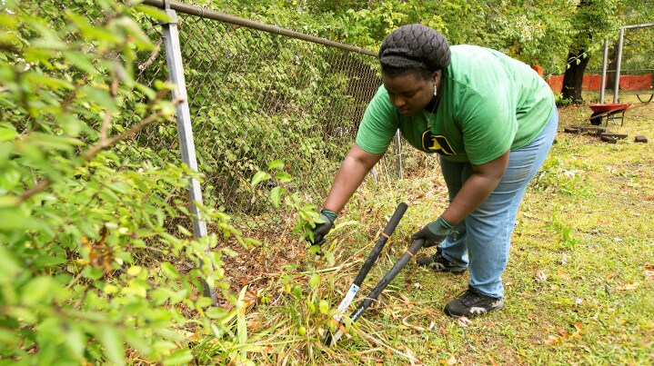 Woman wearing green John Deere shirt uses clippers to remove weeds from fenceline.