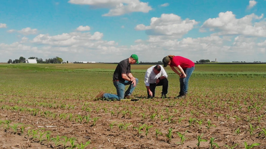 Three people check the soil quality on the test farm