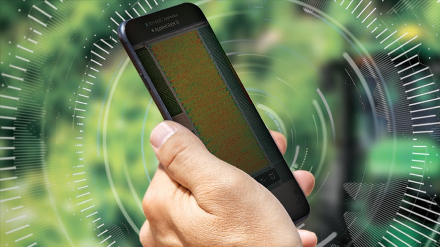 A hand holding a cell phone surrounded by greenery