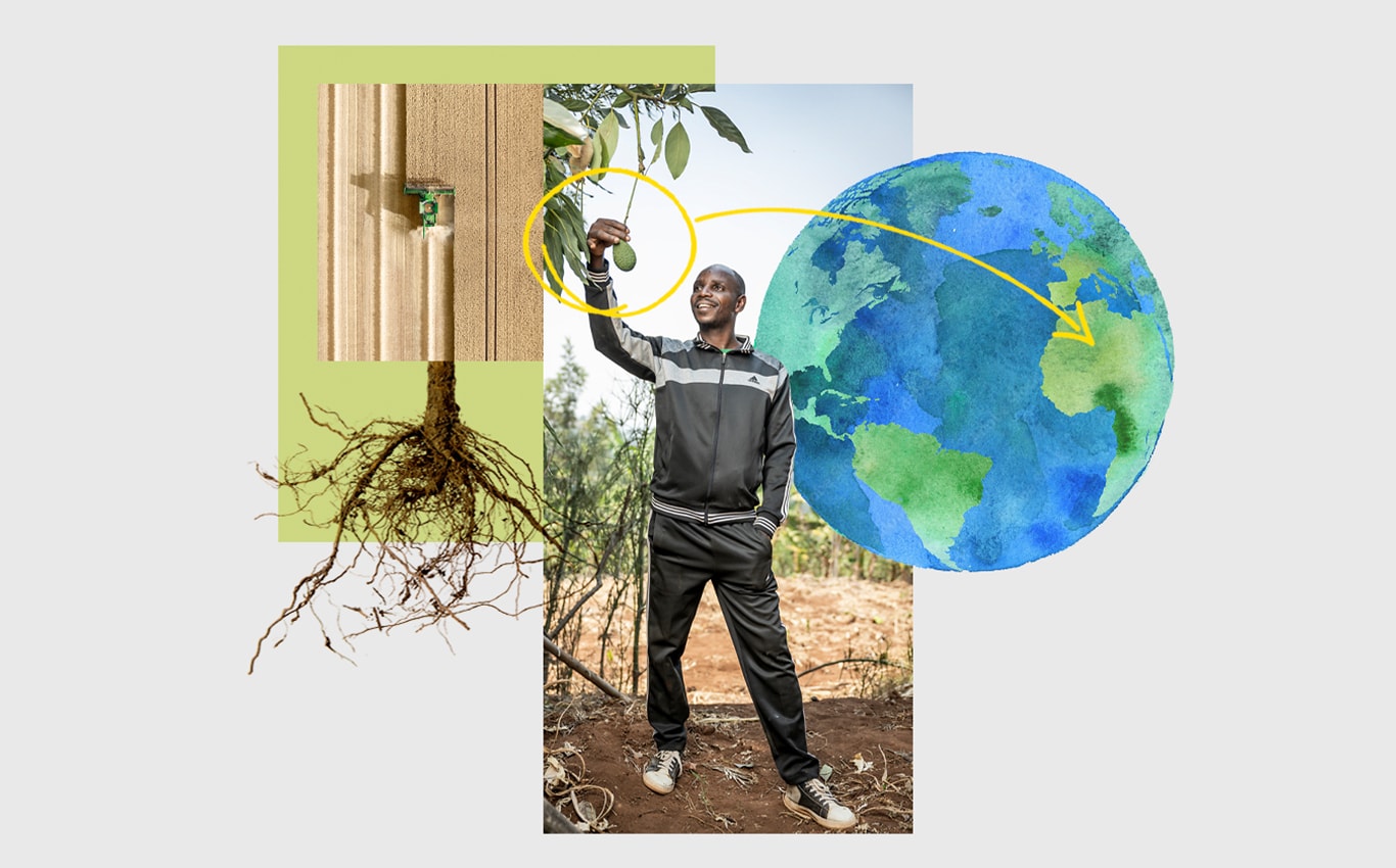 Vista aérea de una cosechadora John Deere en un campo, una persona agarrando un aguacate que cuelga de un árbol y una flecha que apunta a África en una ilustración de la Tierra.