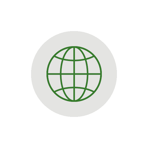 icon of the globe