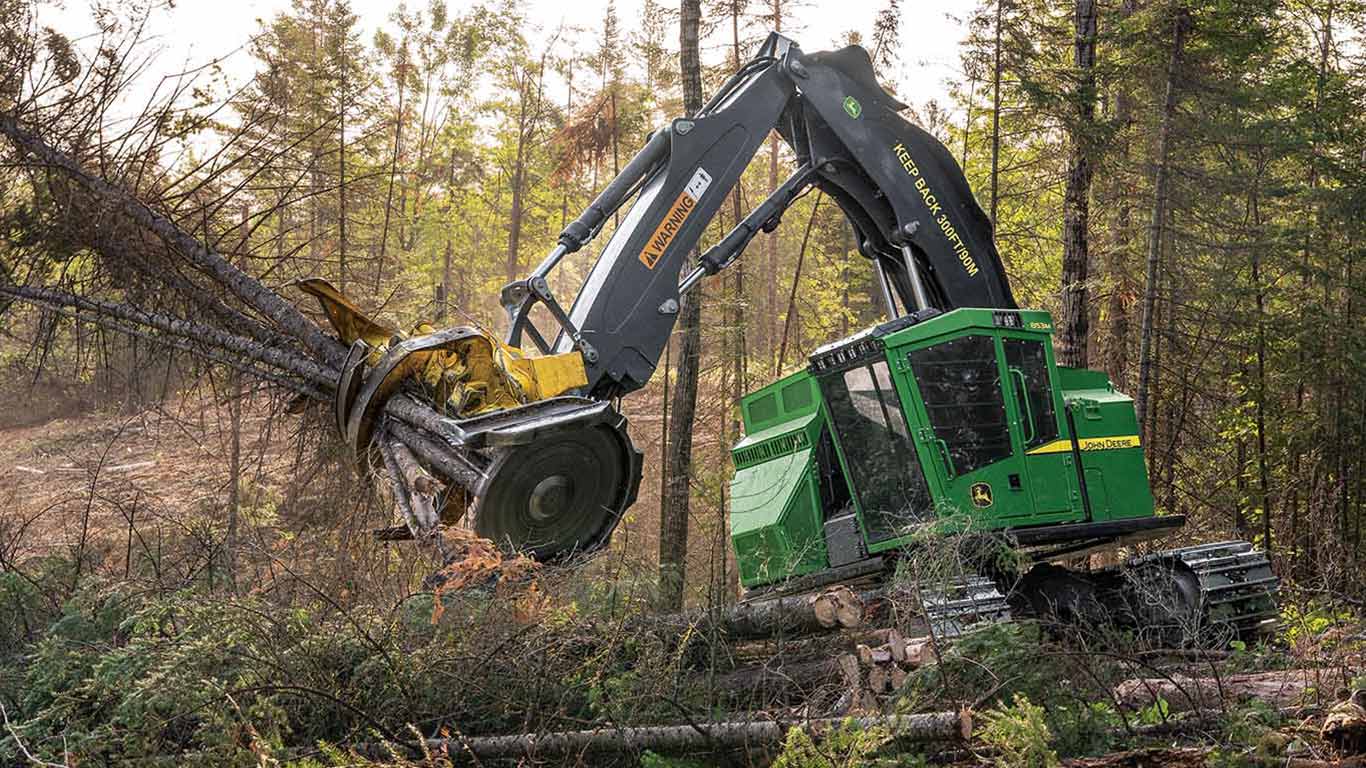 Green tracked feller buncher cutting and gripping trees in a dense forest clearing.