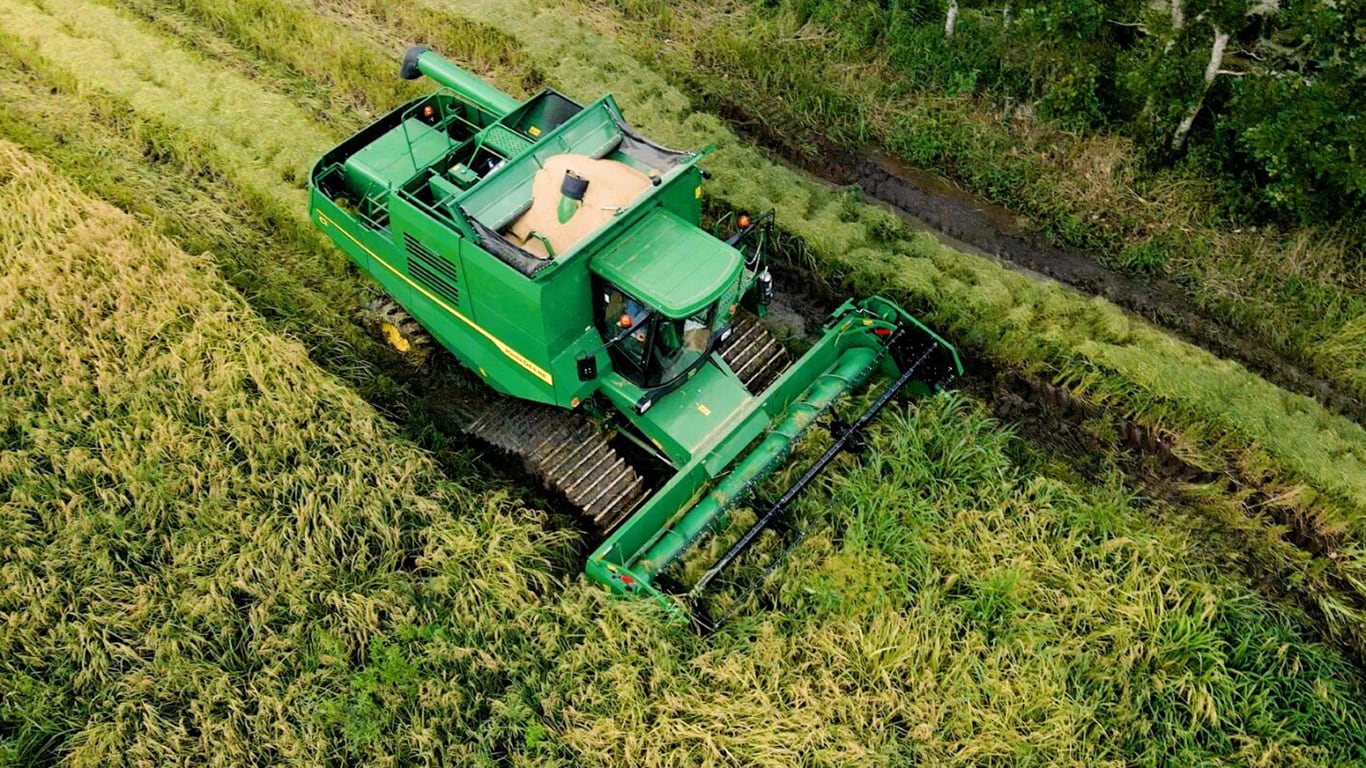 Cosechadora C1 200 en funcionamiento en el campo.