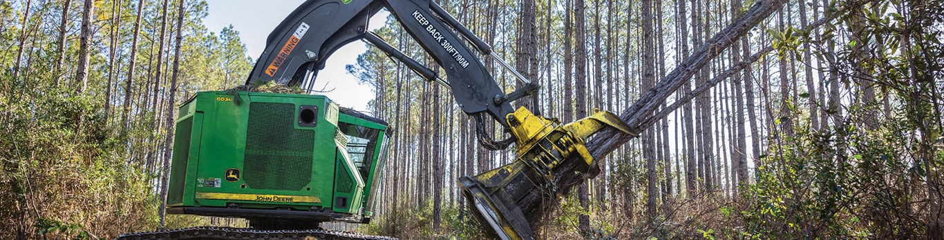 John Deere 803M tracked feller buncher working in forest