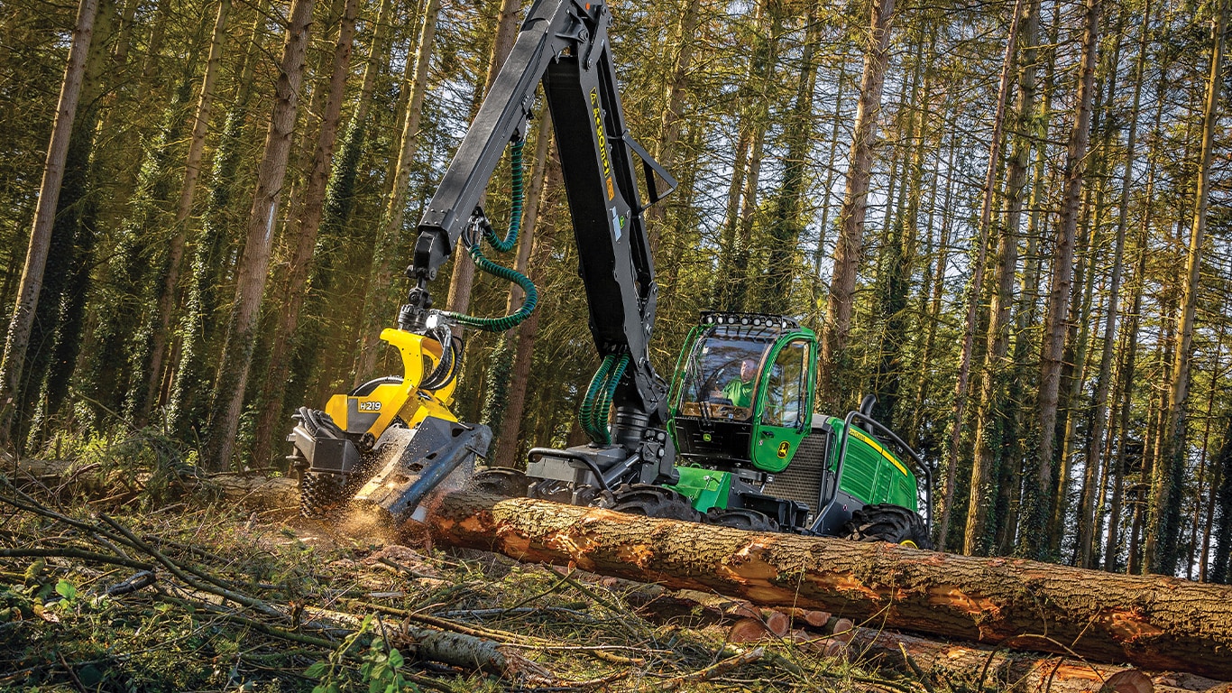 1470g wheeled harvester cutting tree trunks in forest