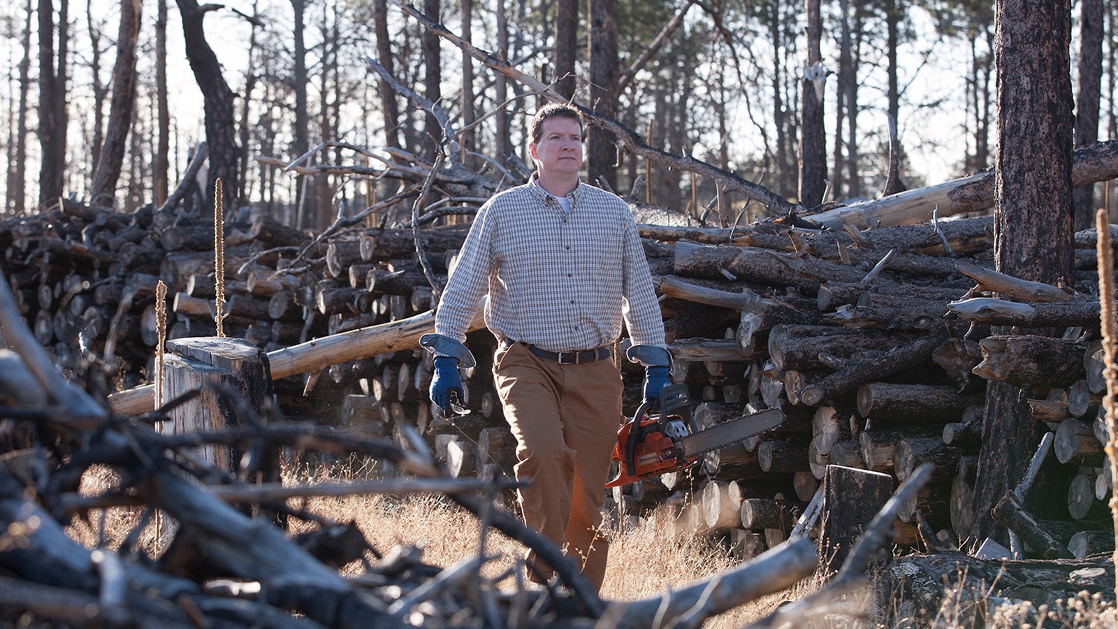 Neil Behnke walks through the Black Forest