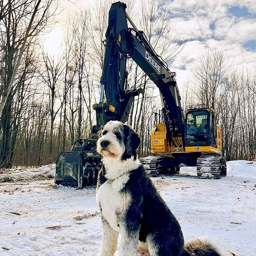 John Deere Excavator with a dog sitting in front