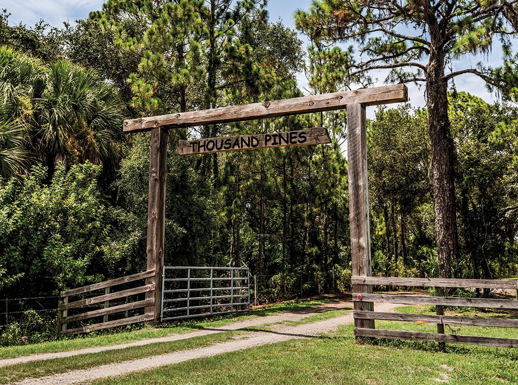 A sign with the words “Thousand Pines” stretches across a dirt roadway and welcomes individuals to a portion of the Ajax Paving property known for its calm and relaxing atmosphere.