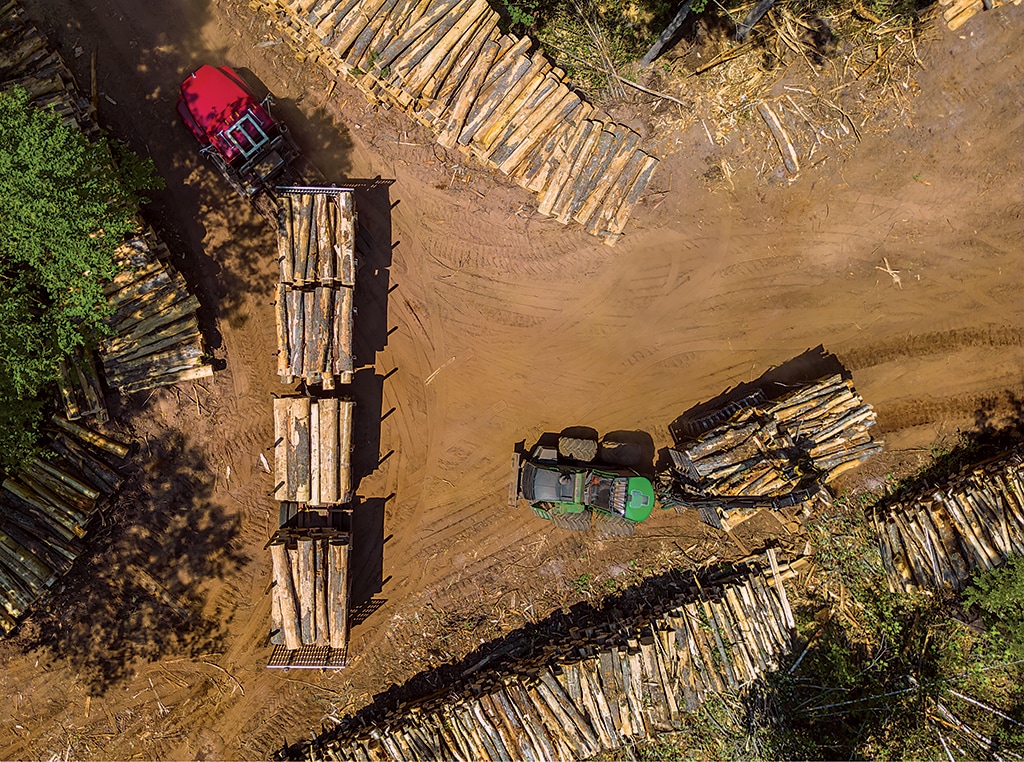 An image from a drone shows rows and stacks of harvested trees on both sides of a logging road.
