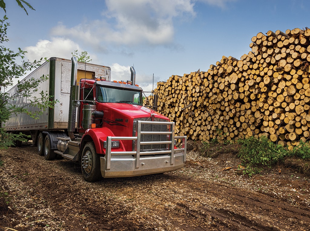 A red semi-truck with a closed-container trailer is parked beside large rows of logs. 