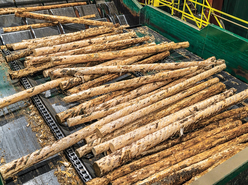 Logs sliding off a conveyor into position on the wave feeder.