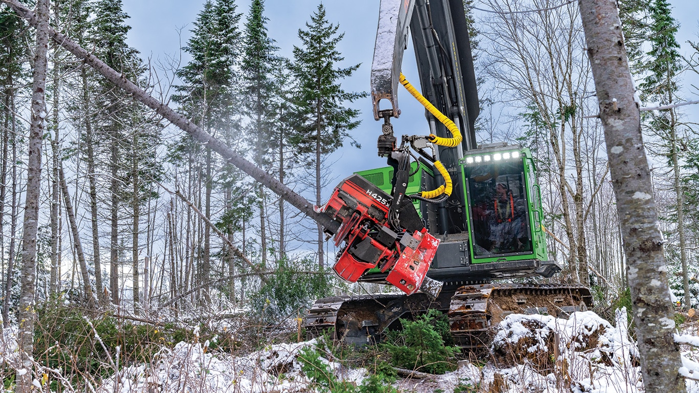 A John Deere 853MH Tracked Harvester with a Waratah H425X Harvesting Head harvests trees while the snow falls in a softwood pine forest.