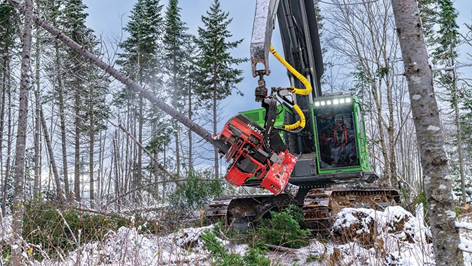 A John Deere 853MH Tracked Harvester with a Waratah H425X Harvesting Head harvests trees while the snow falls in a softwood pine forest. 