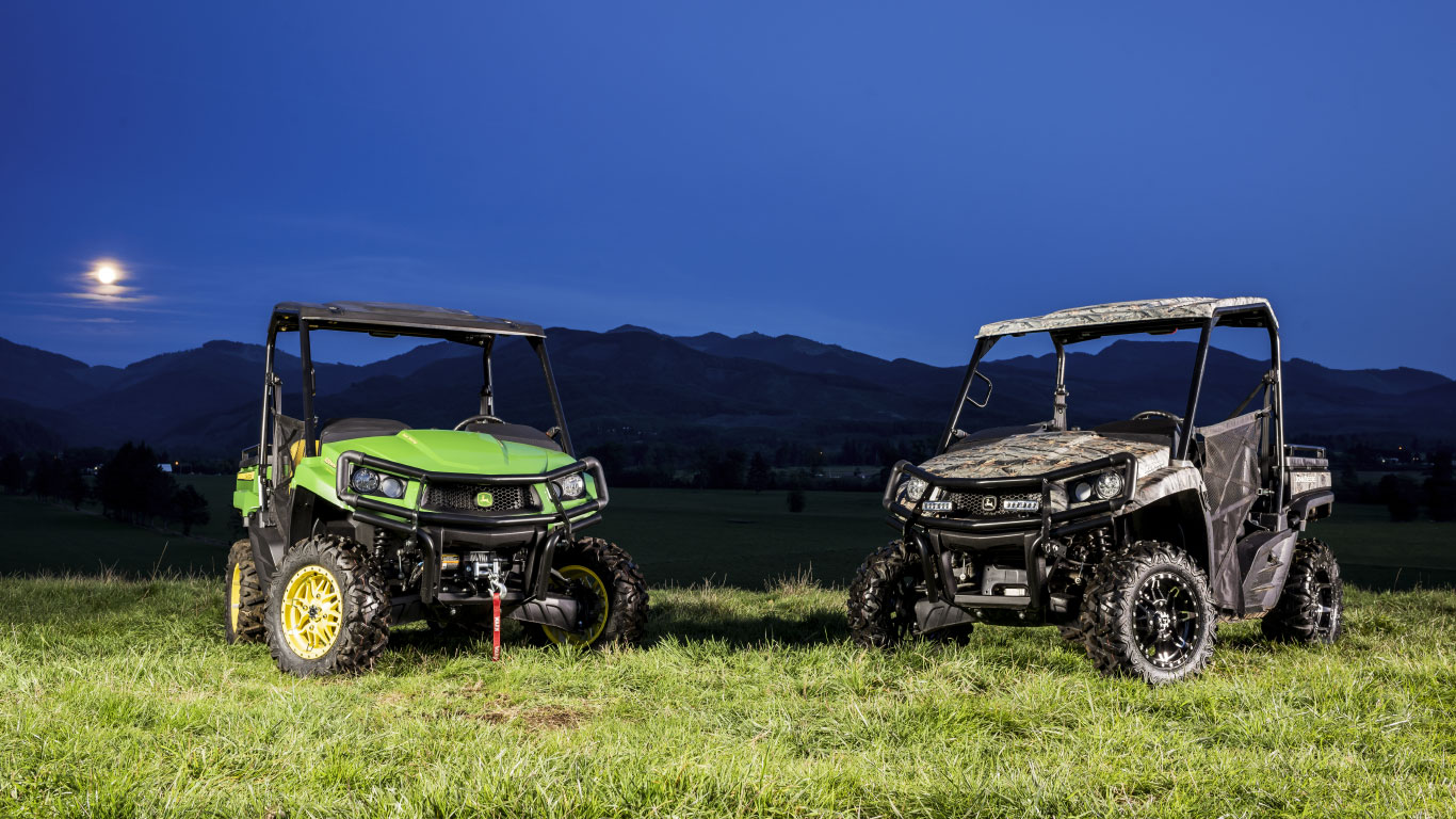 image of two gators in the moonlight