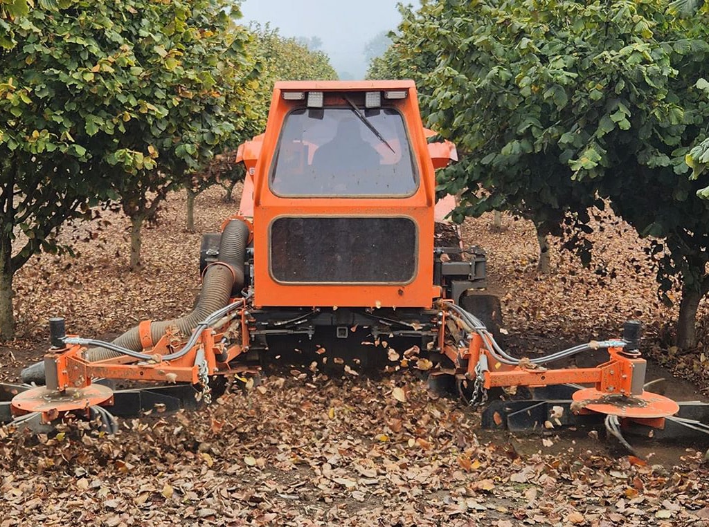 Wiesner Metal Fab self-propelled hazelnut harvester picking up hazelnuts in an orchard. 