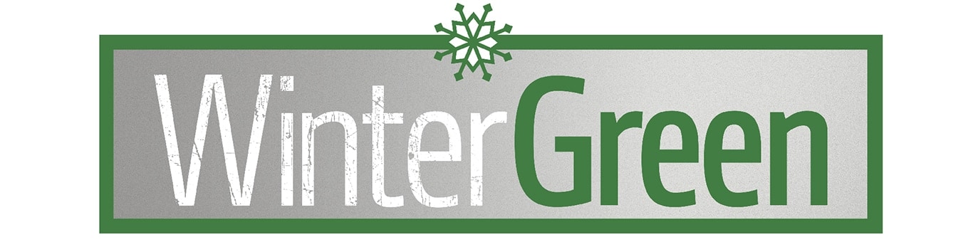 text saying 'wintergreen' on a grey background