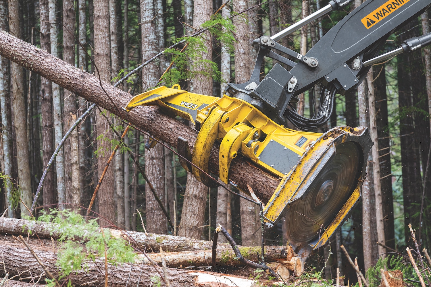 Large closeup image of the John Deere FR27 Felling Head cutting a tree.
