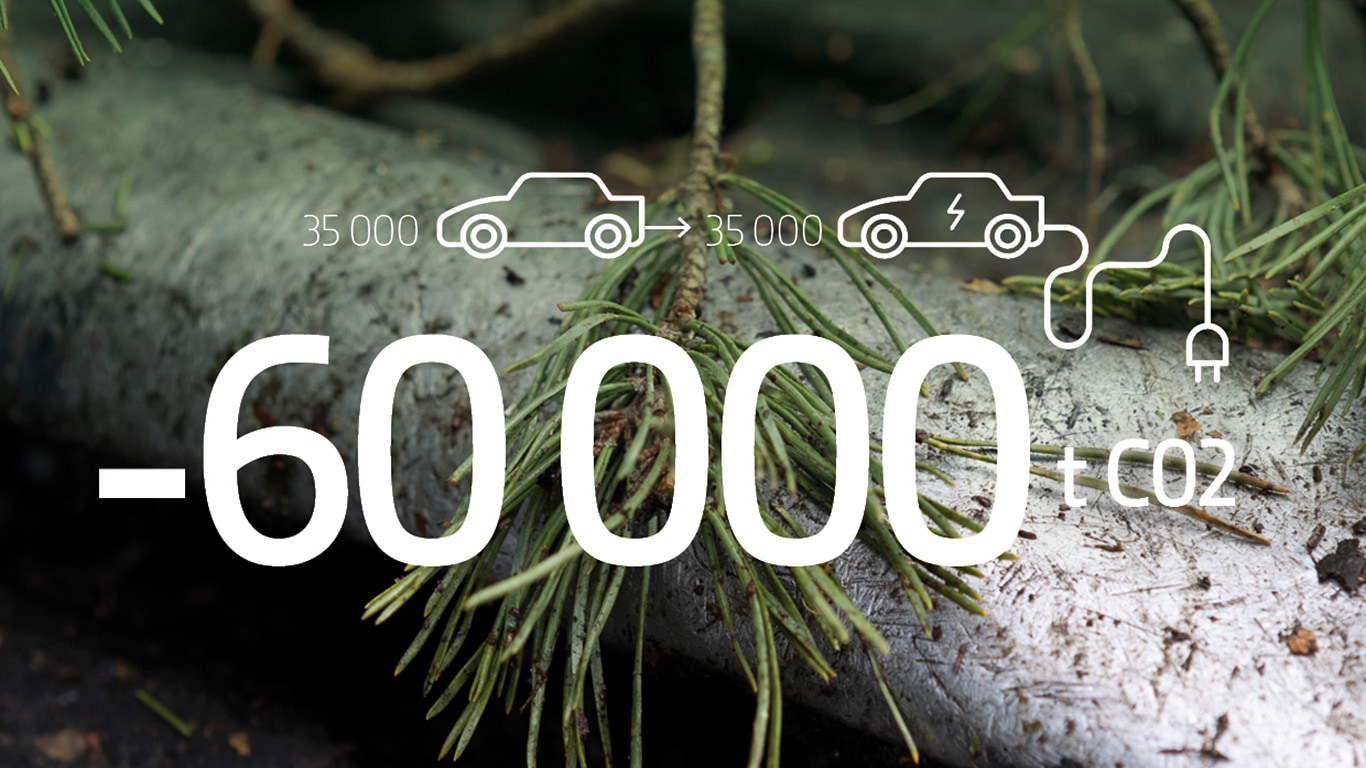 Tree branches and drawings of cars