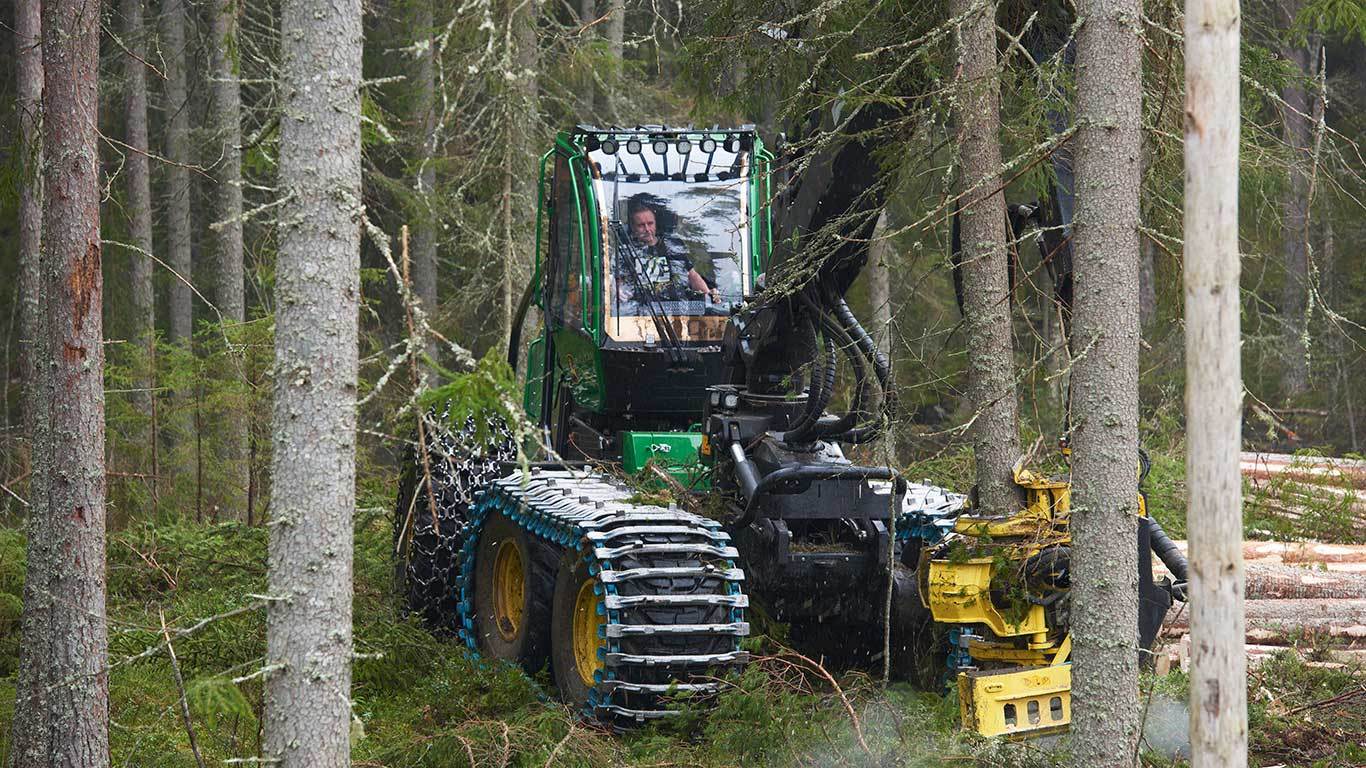 John Deere 1470G wheeled harvester standing between the trees on a late thinning.