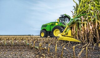 Forrajes: una prioridad ante la variabilidad climática