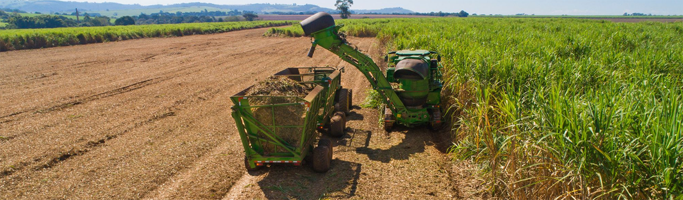 Cosechadora John Deere trabajando en el campo, vista de trás
