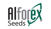 Alforex logo