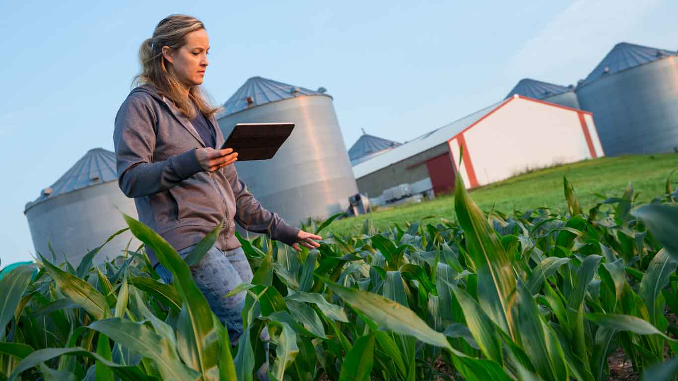 Woman on a tablet in a field on a farm