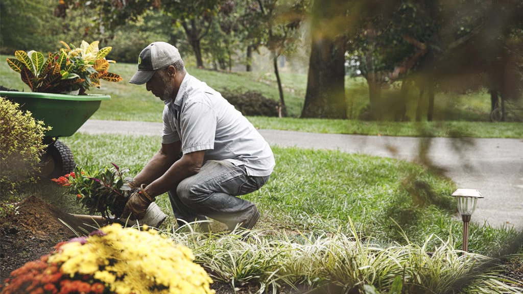 person planting flowers in flower bed